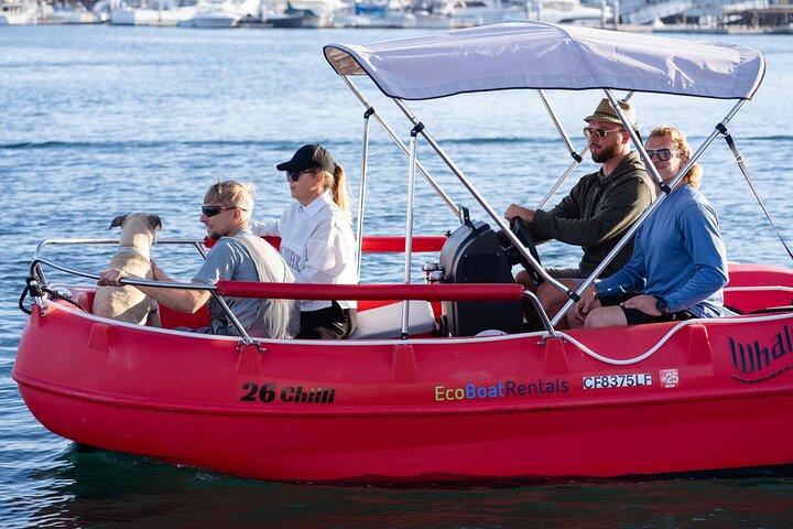 Noleggio barche elettriche a San Diego Bay. Canottaggio per famiglie