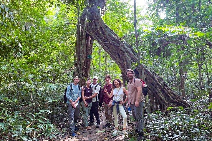 Explore as maravilhas escondidas do Parque Nacional Cat Ba: Caminhada, bicicleta, caiaque