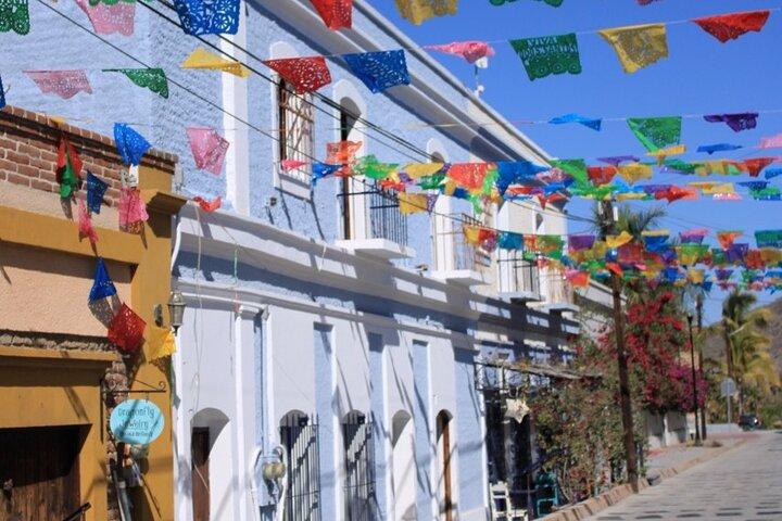 Todos Santos Day Trip from Cabo on Art History and Culinary