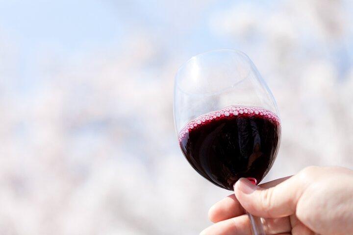 San Gimignano and Winery Experience with Light Lunch from Pisa