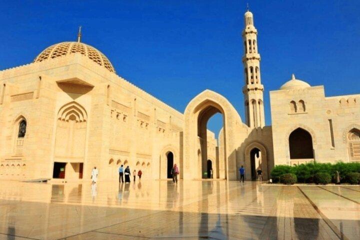 Excursão de dia inteiro Muscat City
