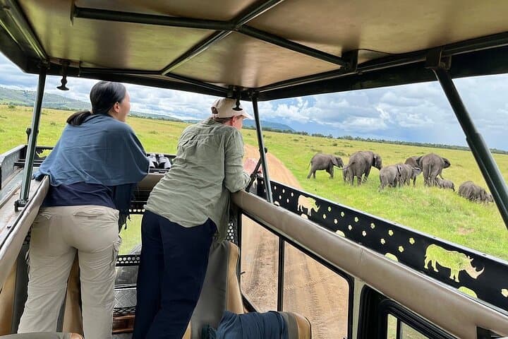 5 Days Masai Mara and Lake Nakuru Lodge Safari