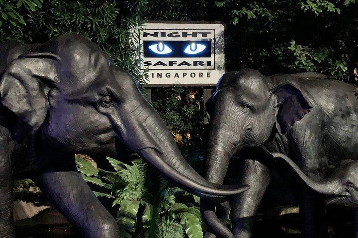 Mandai Wildlife Reserve Singapore Combo con traslado
