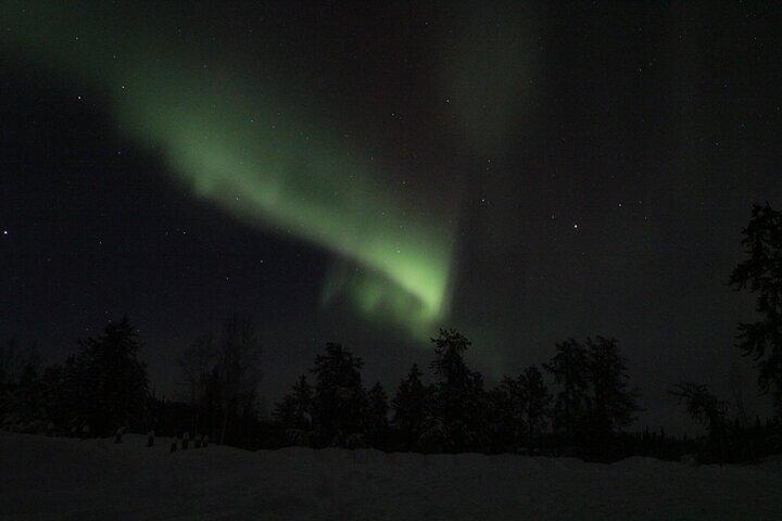 Tour di caccia all'aurora di Yellowknife in autobus