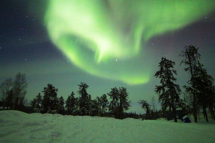 Tour di caccia all'aurora di Yellowknife in autobus