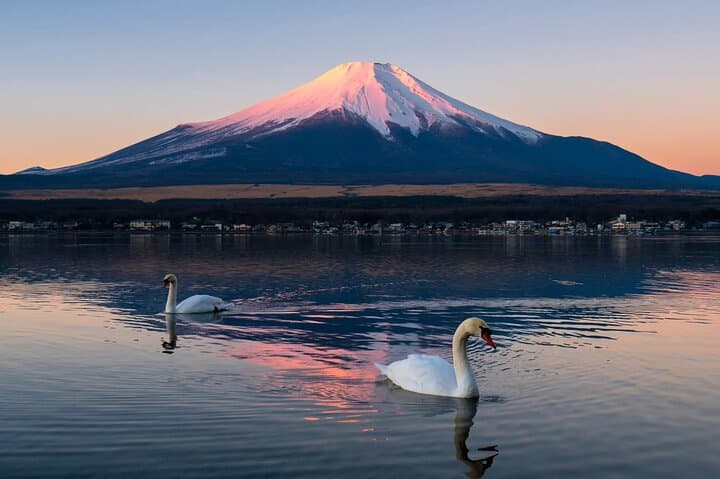 Tokyo: Mount Fuji One Day Trip Lake Kawaguchi & Lake Yamanaka