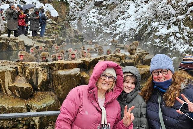 Snow Monkeys