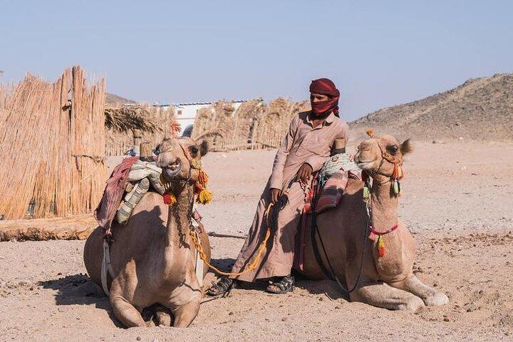 Safari Dahab de Charm El-Cheikh: Canyon Salama & Blue Hole