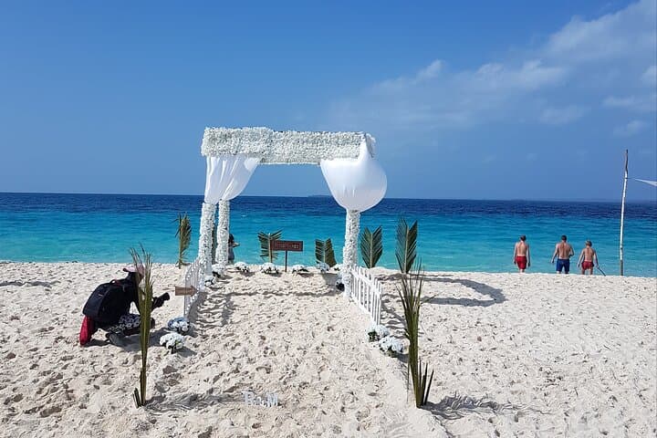 Explore Full day Private tour Beach to Beach in Zanzibar