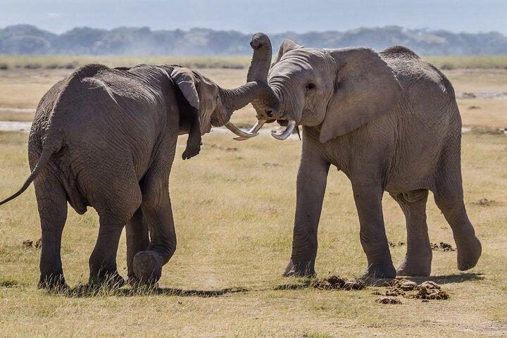 4WD Nairobi 3 Day Adventure Travel Package Tour