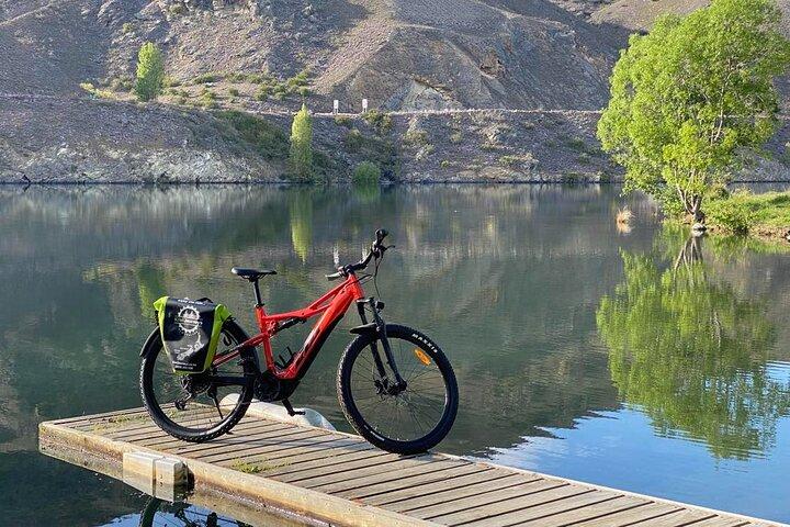 Cromwell: Lake Dunstan Discovery Day Tour af eBike med Shuttle