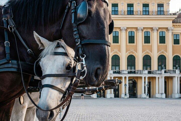Photoshoot professionnel Imperial Elegance au château de Schonbrunn