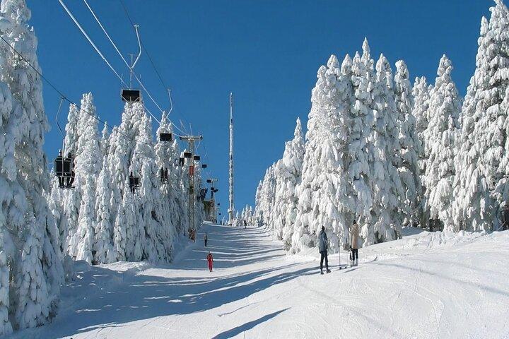 Privétrip Bakuriani & Borjomi dagtour met veel activiteiten