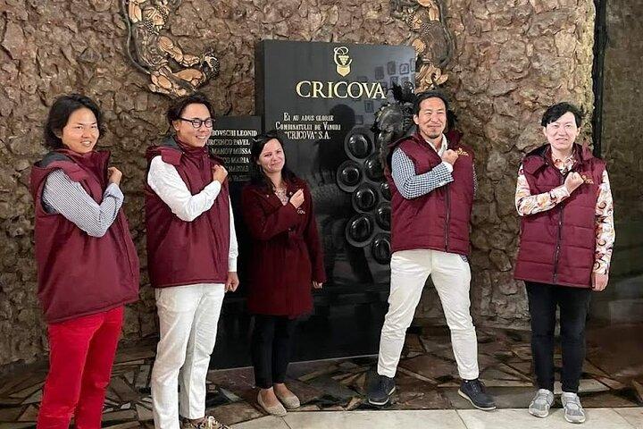 Cricova Wine Adventure & tour della città di Chisinau