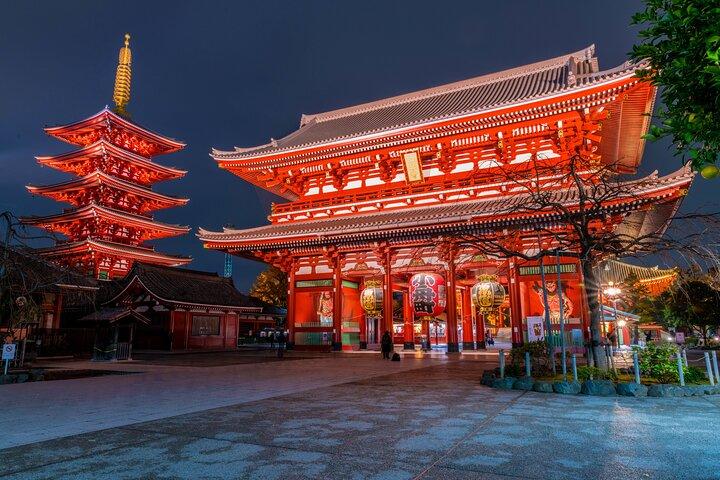 英語ドライバー付き東京プライベート日帰り旅行