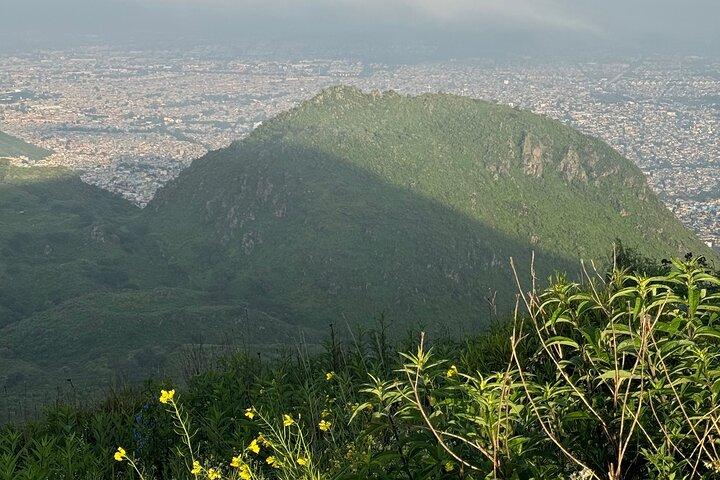 Scenic Cable Car Ride to the City’s Hidden Volcano