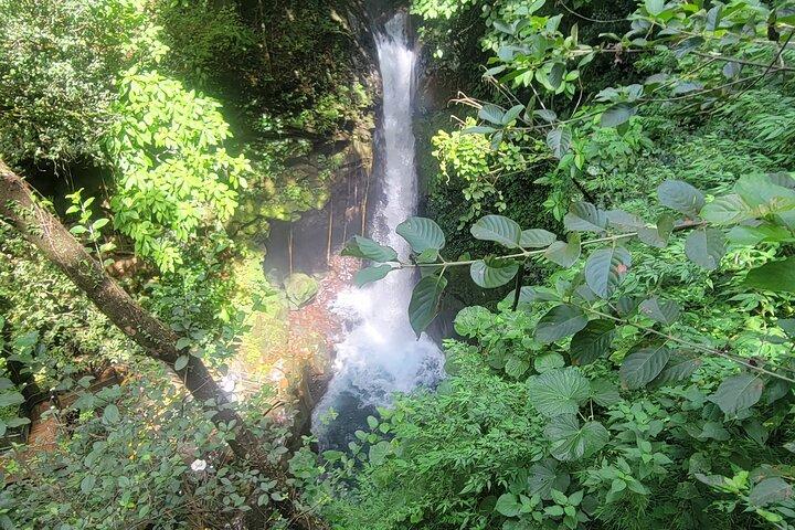 Excursão Volcano, Oropendola Waterfall & Hot Springs Experiência
