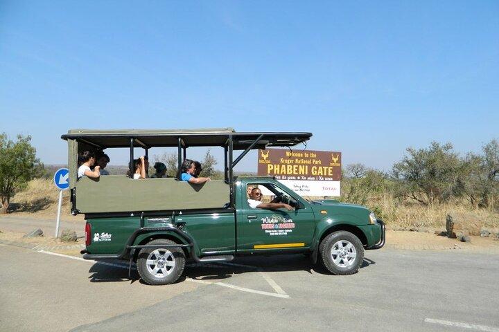 Véhicule privé d'une journée Kruger Park Safari de Hazyview