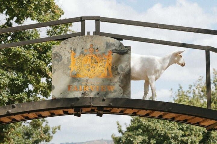 Full Day Winelands Tour With Wine Tasting from Cape Town