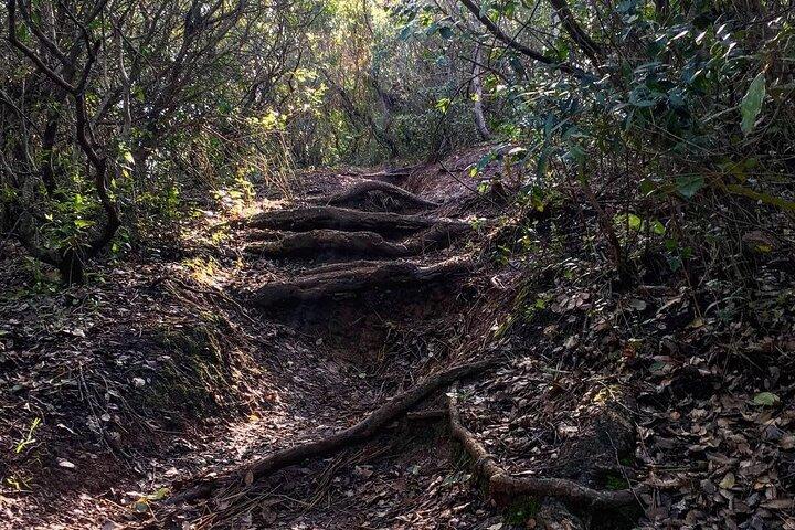 Private Hiking Adventure at Arrábida Mountain