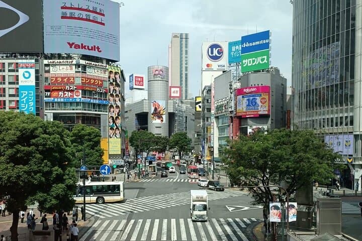 3 to 5 Hours Private Customizable Tour in Tokyo with Local Guide
