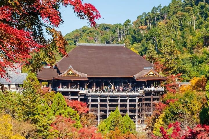 Kyoto & Uji: Full Day Sightseeing Tour from Osaka or Kyoto