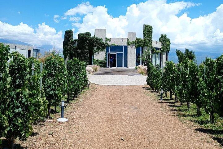 Uco Valley Wine Experience - Private - Die beste Weintour & Mittagessen