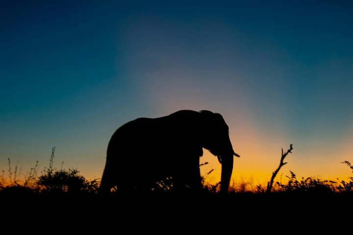 Big 5 Game Reserve Sunset Safari
