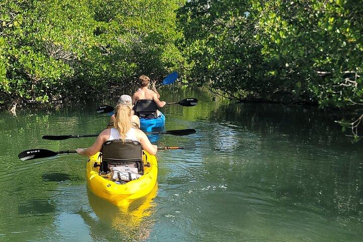 Kayak attraverso le foreste di mangrovie nelle Florida Keys