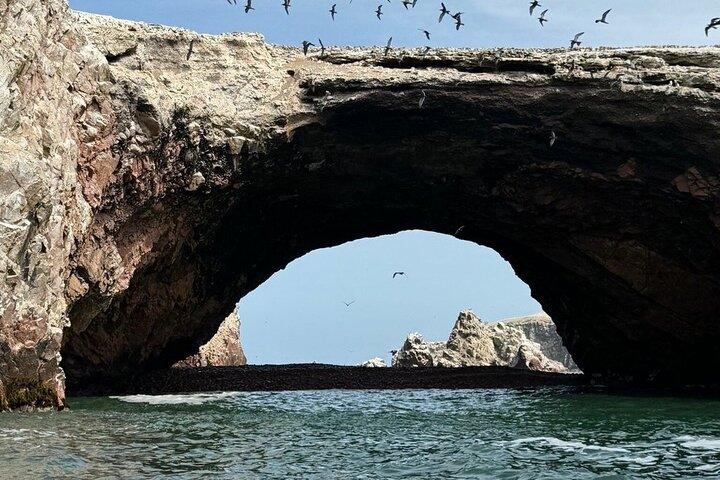 Excursion privée aux îles Ballestas et à l'oasis de Huacachina
