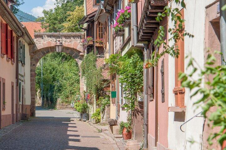 Ovanligt bilrally på Alsace Wine Route