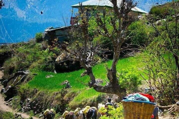Pokhara a Ghandruk Gurung Village Escursioni e Pernottamento