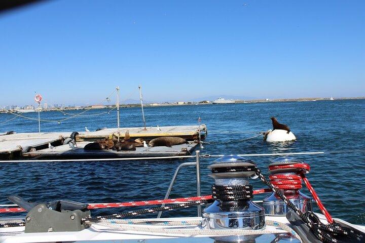 Private Morning Sail in San Diego bis 12 Gäste $975