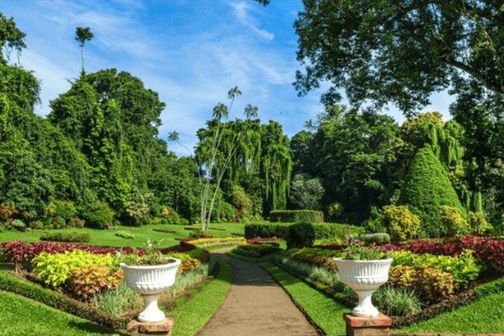 From Colombo: Kandy and Tea Plantations Day Trip
