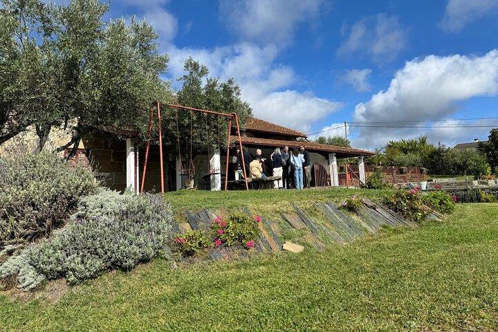 Douro Valley Wine Exclusive Verkostungstour in Porto - WOW -
