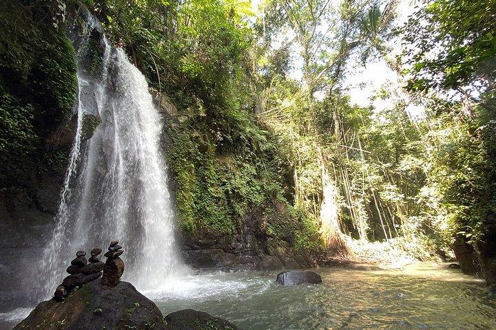 Famoso di Ubud Art Village Tour privati