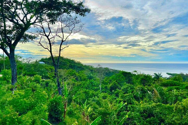 Roatan Exclusieve Wild Life en Stadstour