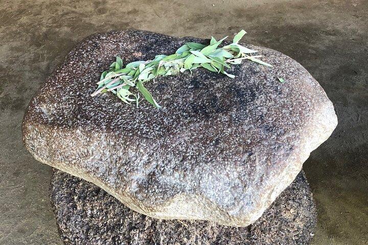 自然保護区をハイキング&地元の家族農園で食事