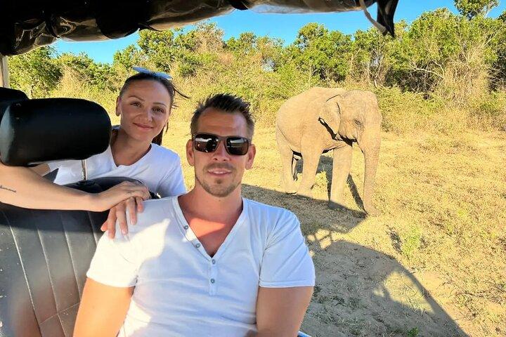 Excursión de un día en Safari por Ella, Hikkaduwa, Galle, Mirissa a Udawalawe