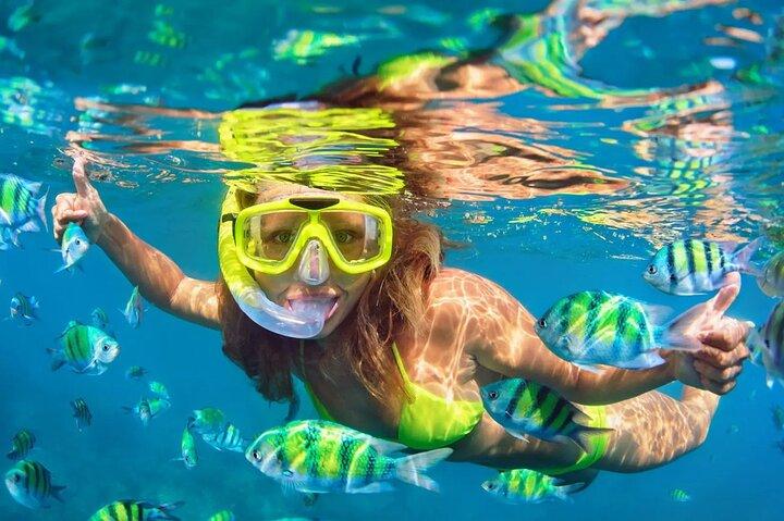 Phuket Phi phi Maya Bay Khai Island Mergulho Transfer e Buffet