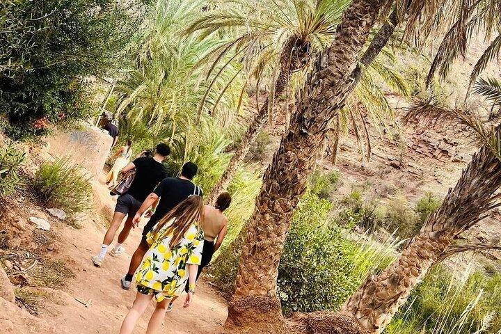 Excursión de un día a Paradise Valley Agadir