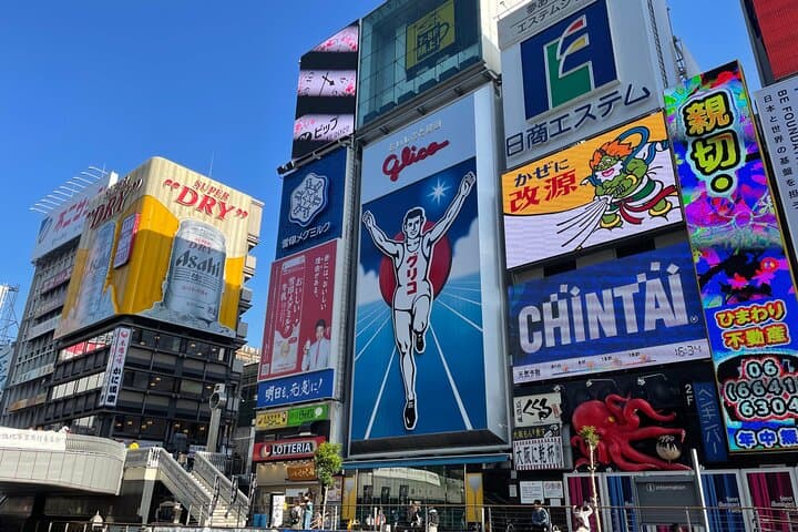 Day Trip Osaka from Tokyo with a Guide by Bullet Train