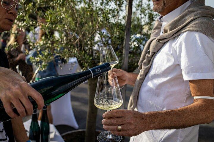 Stellenbosch e Franschhoek Wine Tasting Tour guidato di un'intera giornata