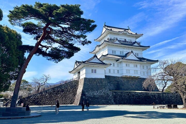 Tokyo: Mt Fuji & Hakone 2-Day Private Tour with Onsen Ryokan Stay