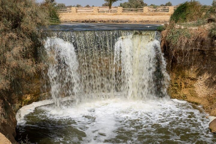 Fayoum Oasis Safari with Valley of Whales & Traditional Lunch