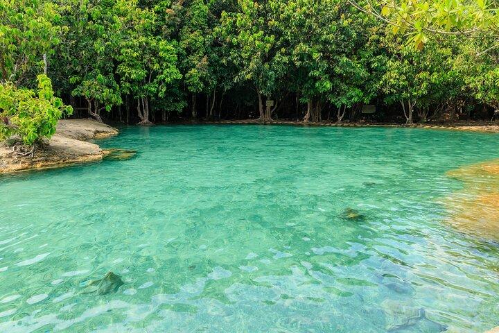 Krabi Jungle Tour fuld dag eventyr med frokost