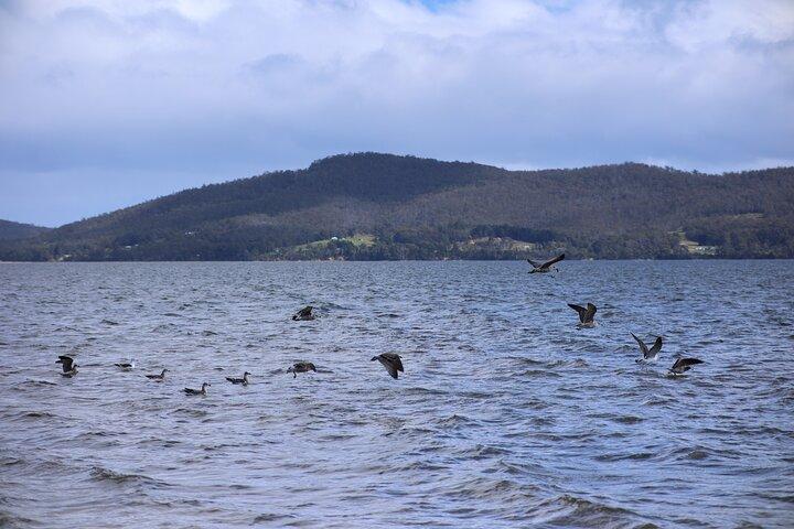Bruny Island Small-Group Guided Tour From Hobart