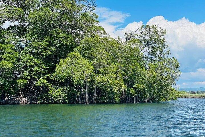 Black River Safari YS Falls Mittagessen Classic Combo von Negril