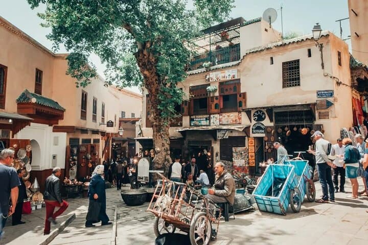 Half Day Guided Walking Tour in the Medina of Fez