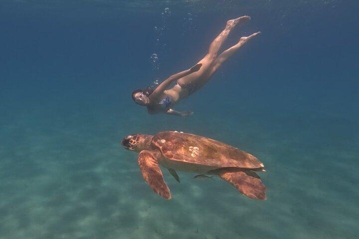 De ultieme privétour op het eiland Zakynthos!!! (nr. 2)